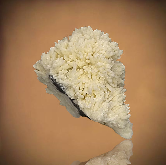 Tarbuttit - Khorixas, Namibia