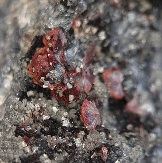 Kermesite, Stibnite, Valentinite - Lac Nicolet, Canada