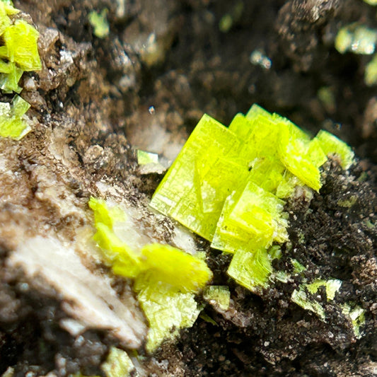 Autunit/e - Streuberg Quarry, Bergen