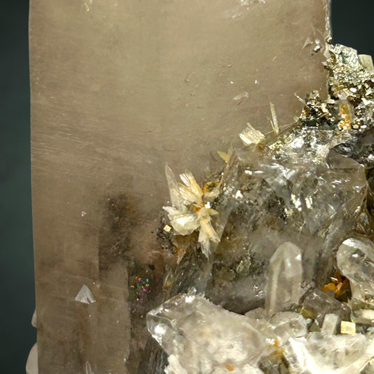 Rauchquarz/Smoky Quartz, Bertrandit/e, Pyrit/e - Kara Oba, Kasachstan