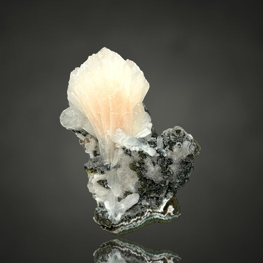 Stilbit/e - Poona, India