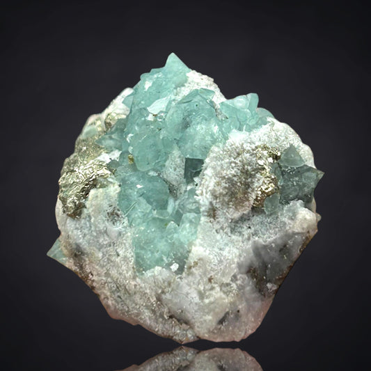 Boracit/e & Pyrit/e - Kalkberg Lüneburg (TL)