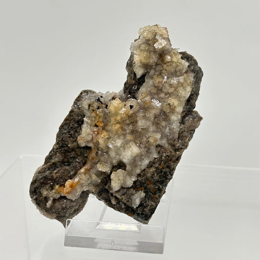 Fluorite - 3. Sohle, Lorenz Stehender, Ehrenfriedersdorf