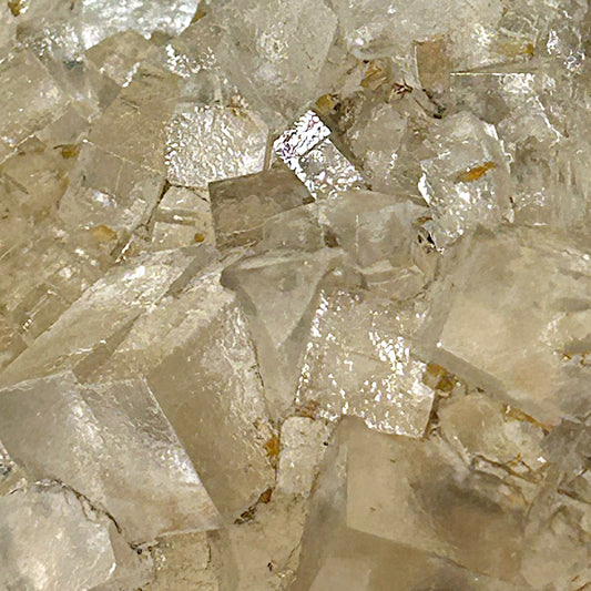 Halit & Sylvin - Bleicherode, Deutschland