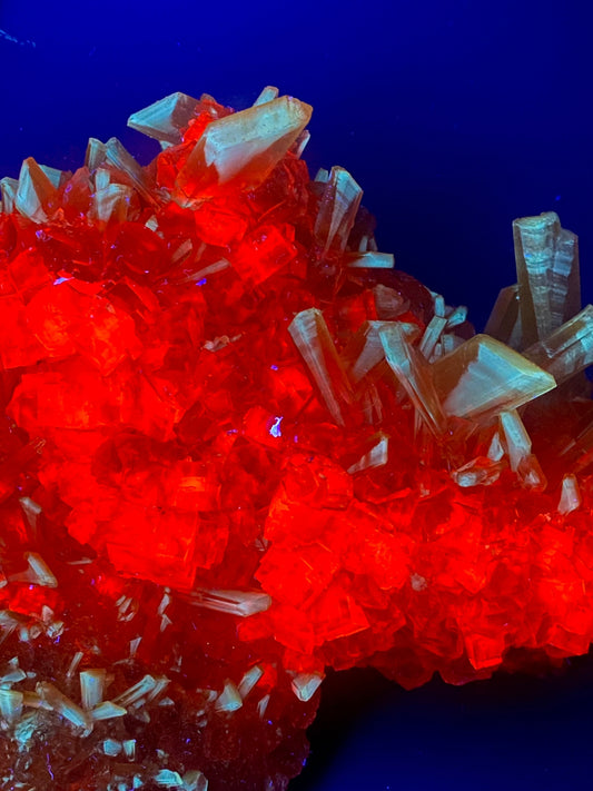 Halite, Sylvite - Bleicherode, Thuringia