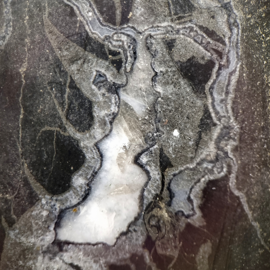 Manganese ore lense - Rammelsberg, Harz Mts