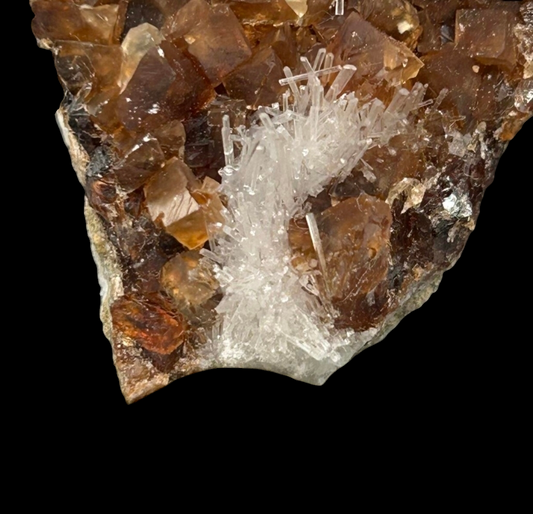 Natrolite & Calcite on Petrified Wood - Sipi Caves, Uganda