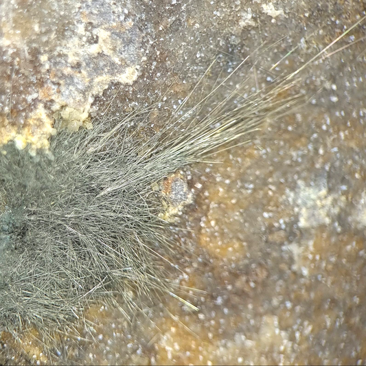 Millerit/e - Zeche Zollverein, Essen