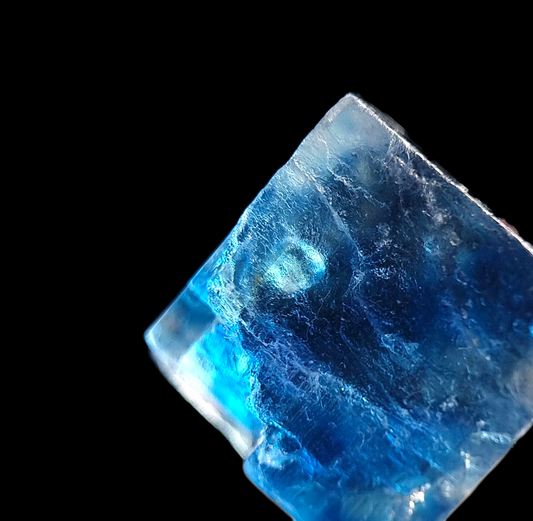 Halit/e mit Einschluss/with inclusion - Zielitz, Sachsen-Anhalt