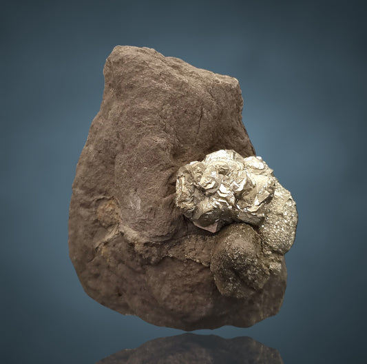 Pyrit/e auf Ornatenton - Hamelspringe, Germany