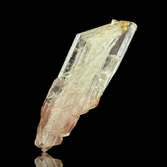 Goldener Gips - Bleicherode 🇩🇪