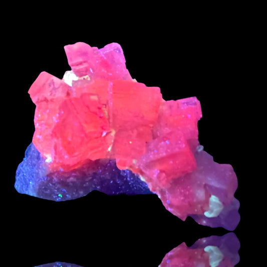 Halit/e, Gips/Gypsum - Bleicherode, Thüringen