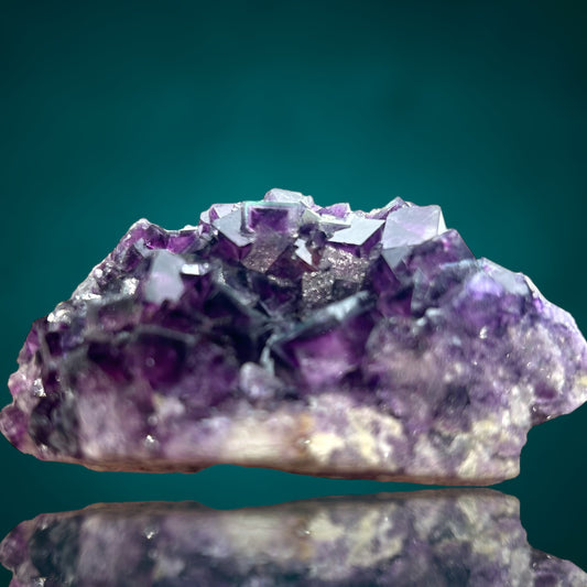 Phantom Fluorit/e - Okorusu, Namibia