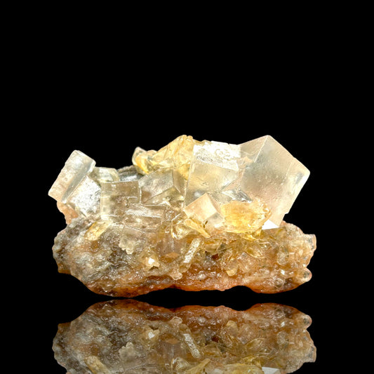 Halit/e, Gips/Gypsum - Bleicherode, Thuringia 🇩🇪