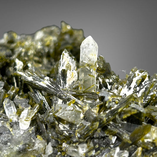 Forest Epidote, Quartz - Shigar Valley, Pakistan