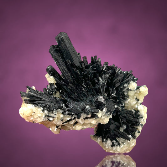 Tourmaline on Zinnwaldite - Erongo, Namibia