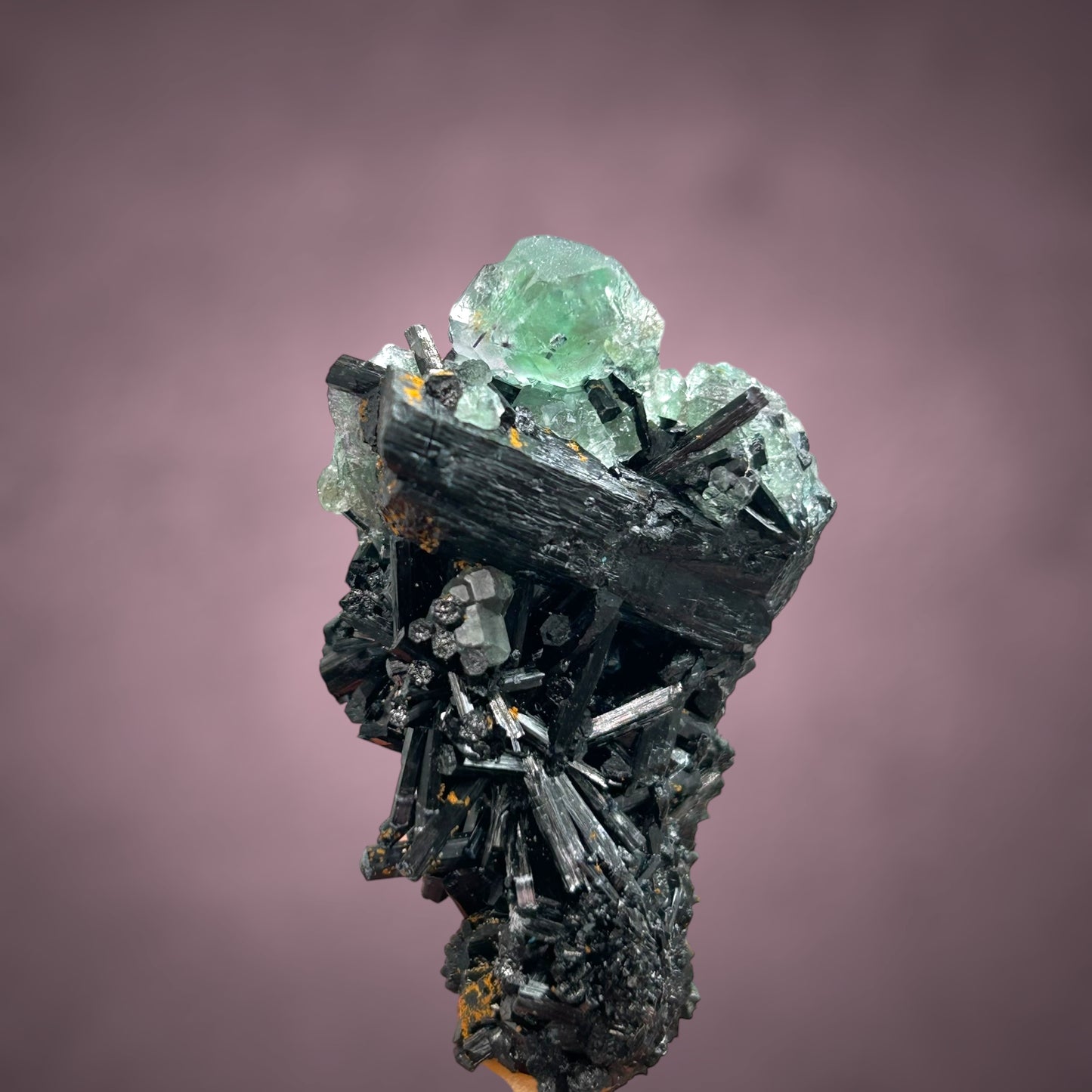Fluorit/e & Schörl/Schorl - Erongo, Namibia