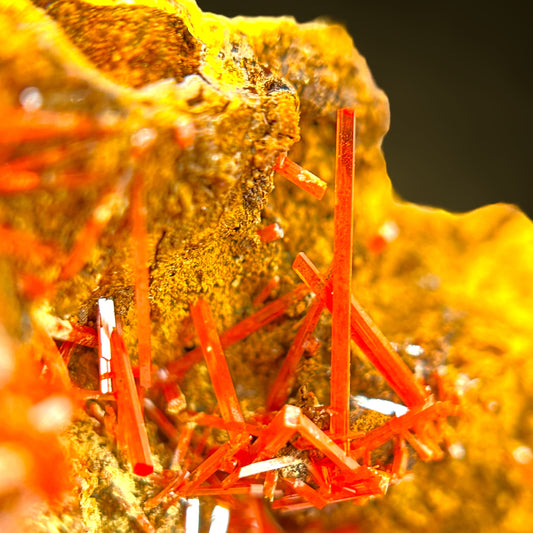 Krokoit/Crocoite (gemmy!) - Red Lead Mine, Australia