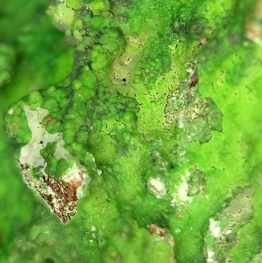 Conichalcite & Calcite - Ojuela Mine, Mexico