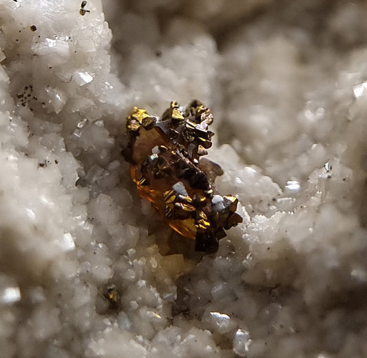 Sphalerit/e & Chalkopyrit/Chalcopyrite - Wirtenbach
