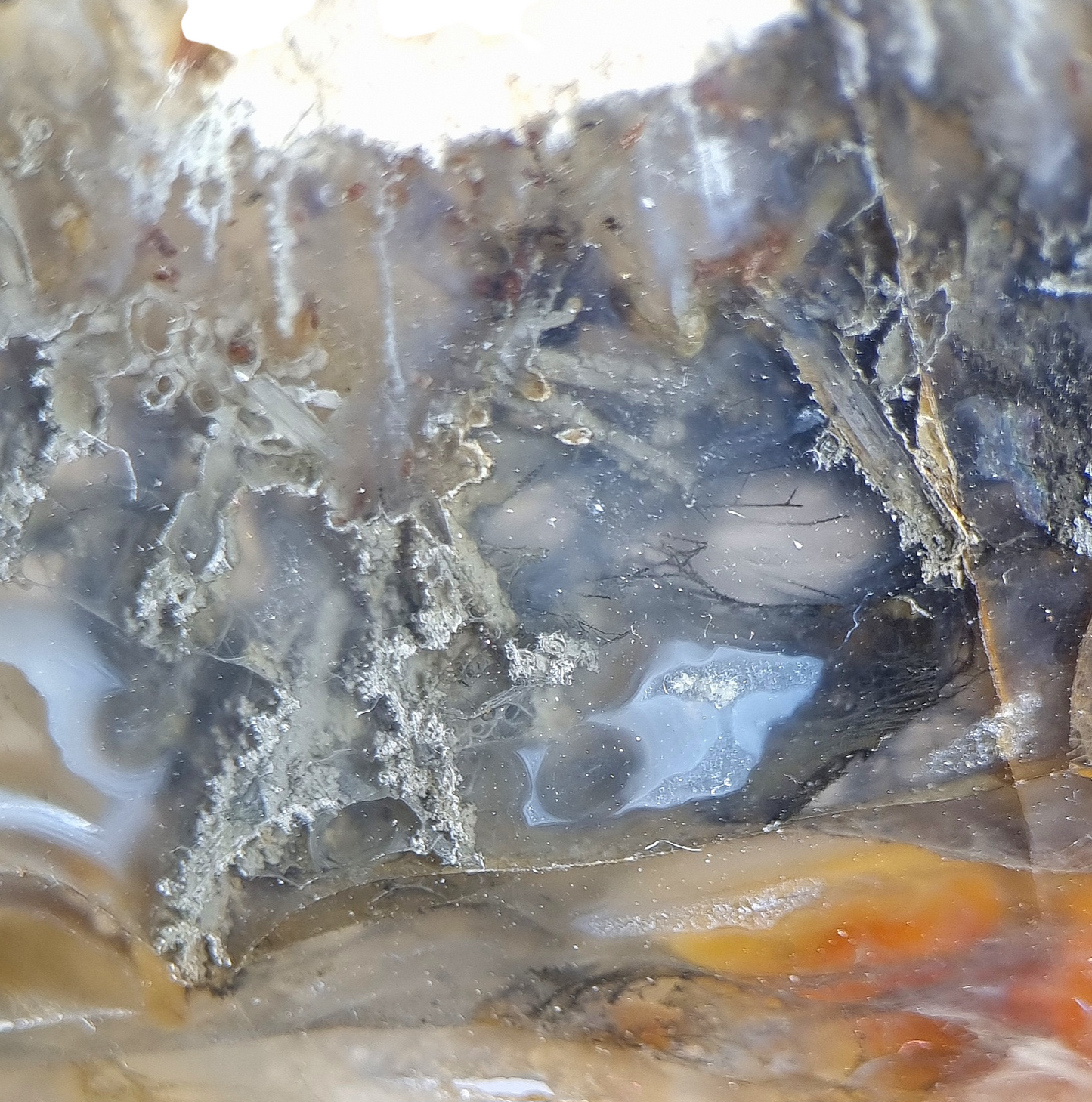 Native Arsenic, Realgar & Orpiment in Agate - Trent, Oregon
