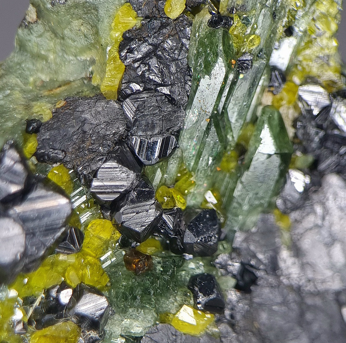 Magnetit, Vesuvianit, Diopsid & Andradit – Shigar, Pakistan