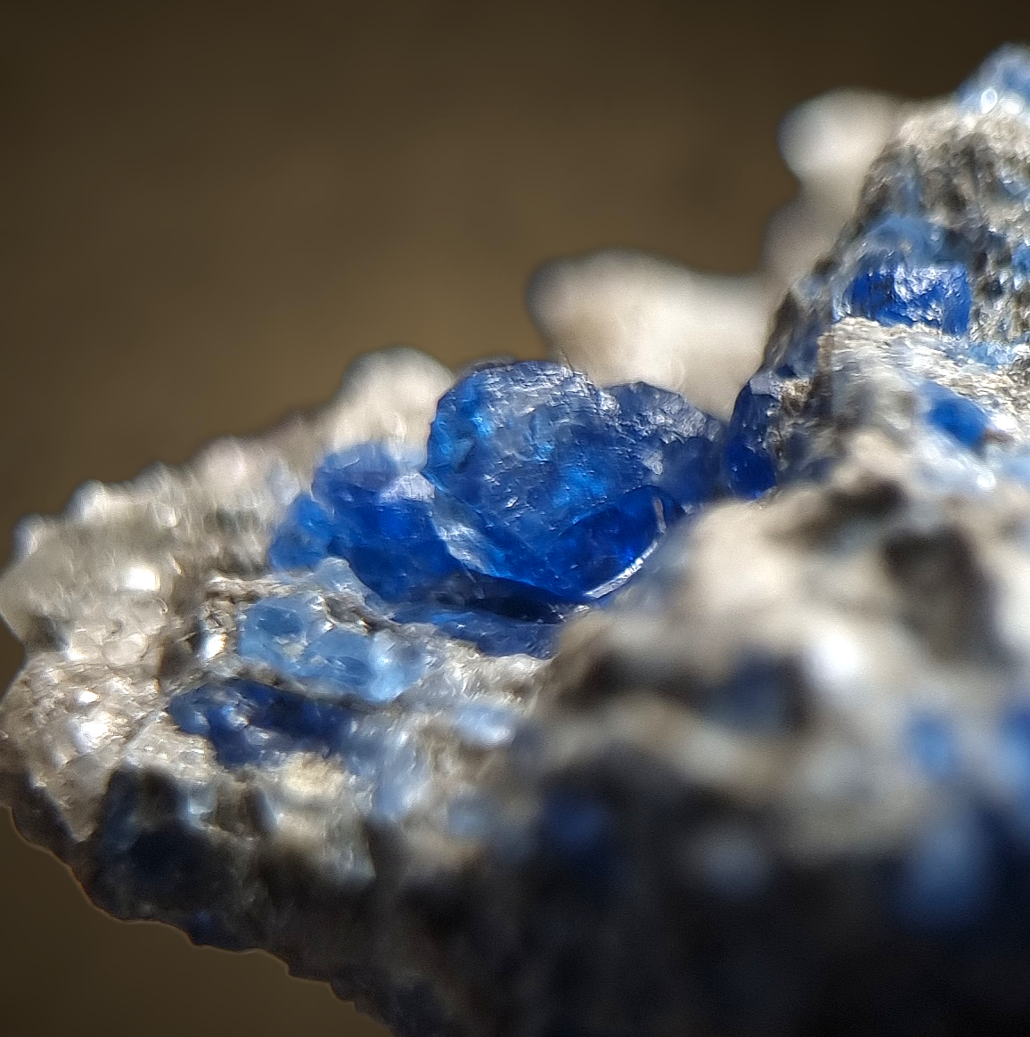 Kobaltblauer Hauyn - Eifel 🇩🇪