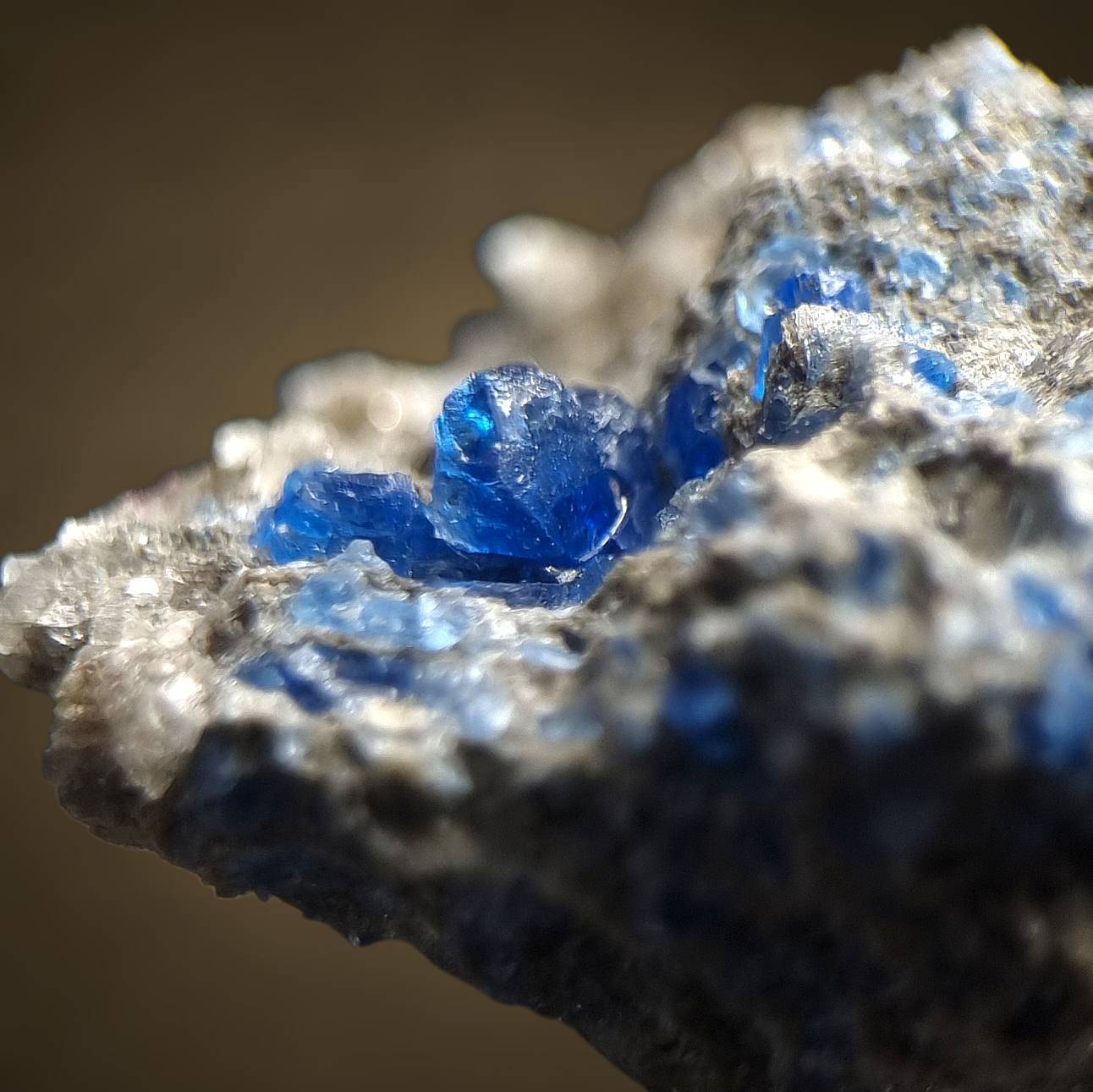 Kobaltblauer Hauyn - Eifel 🇩🇪