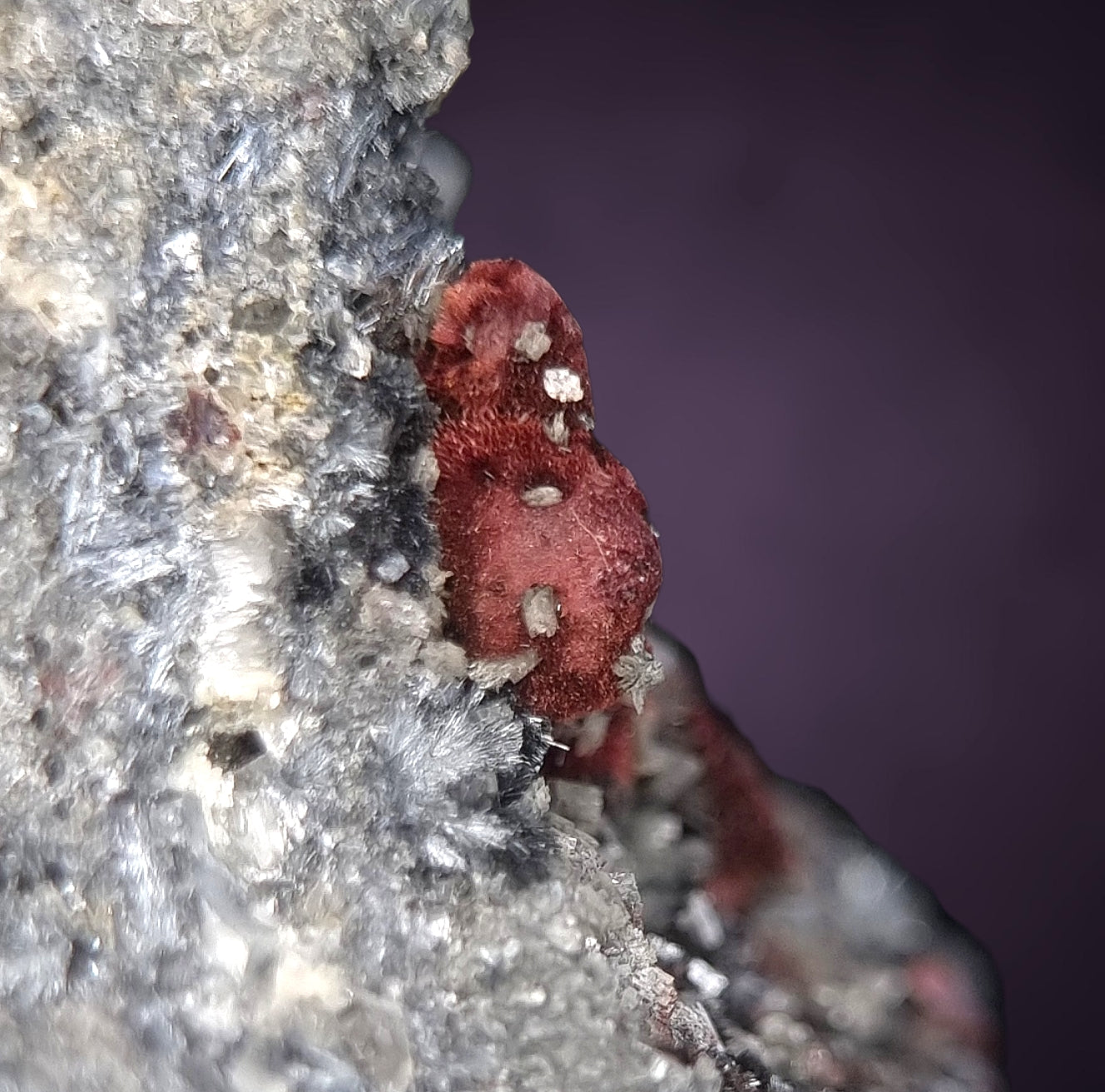 Kermesite, Stibnite, Valentinite - Lac Nicolet, Canada