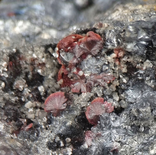 Kermesite, Stibnite, Valentinite - Lac Nicolet, Canada