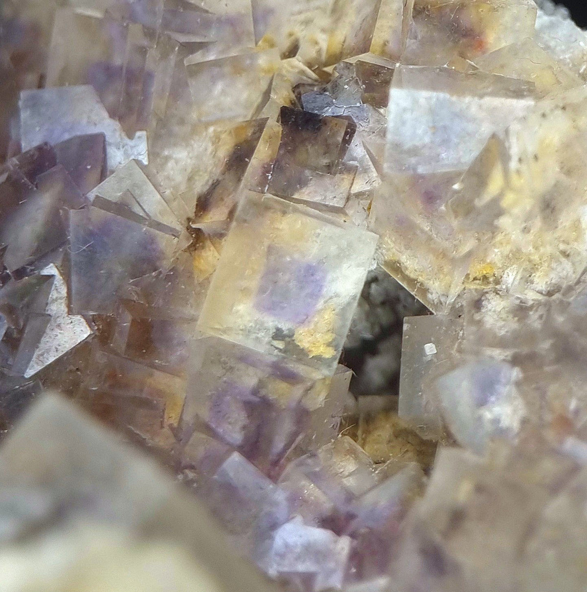 Phantom Fluorite - South slope, Weisseck, Austria