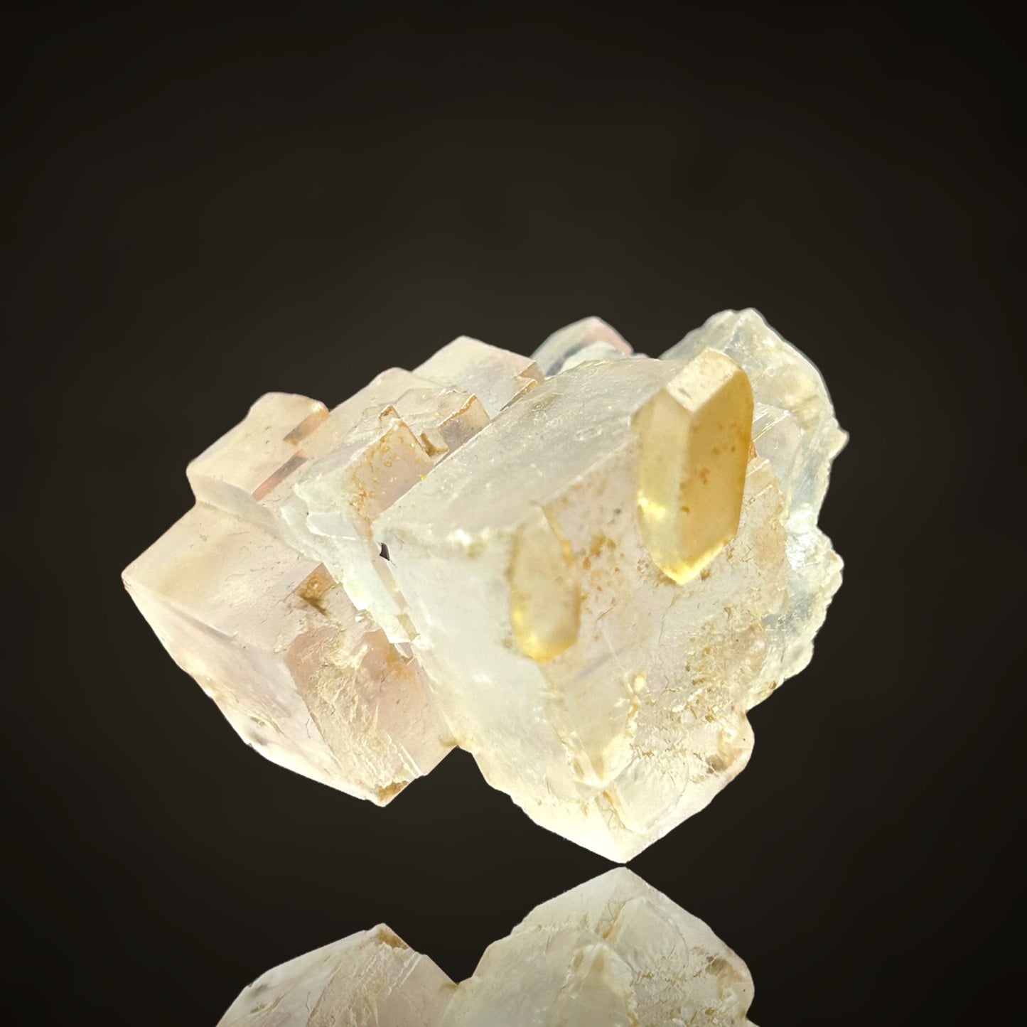 Halit/e & Gips/Gypsum - Bleicherode