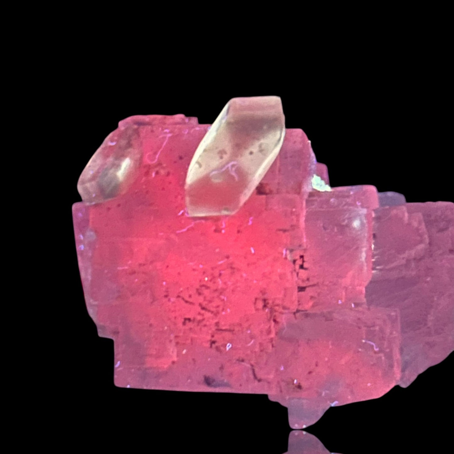 Halit/e & Gips/Gypsum - Bleicherode