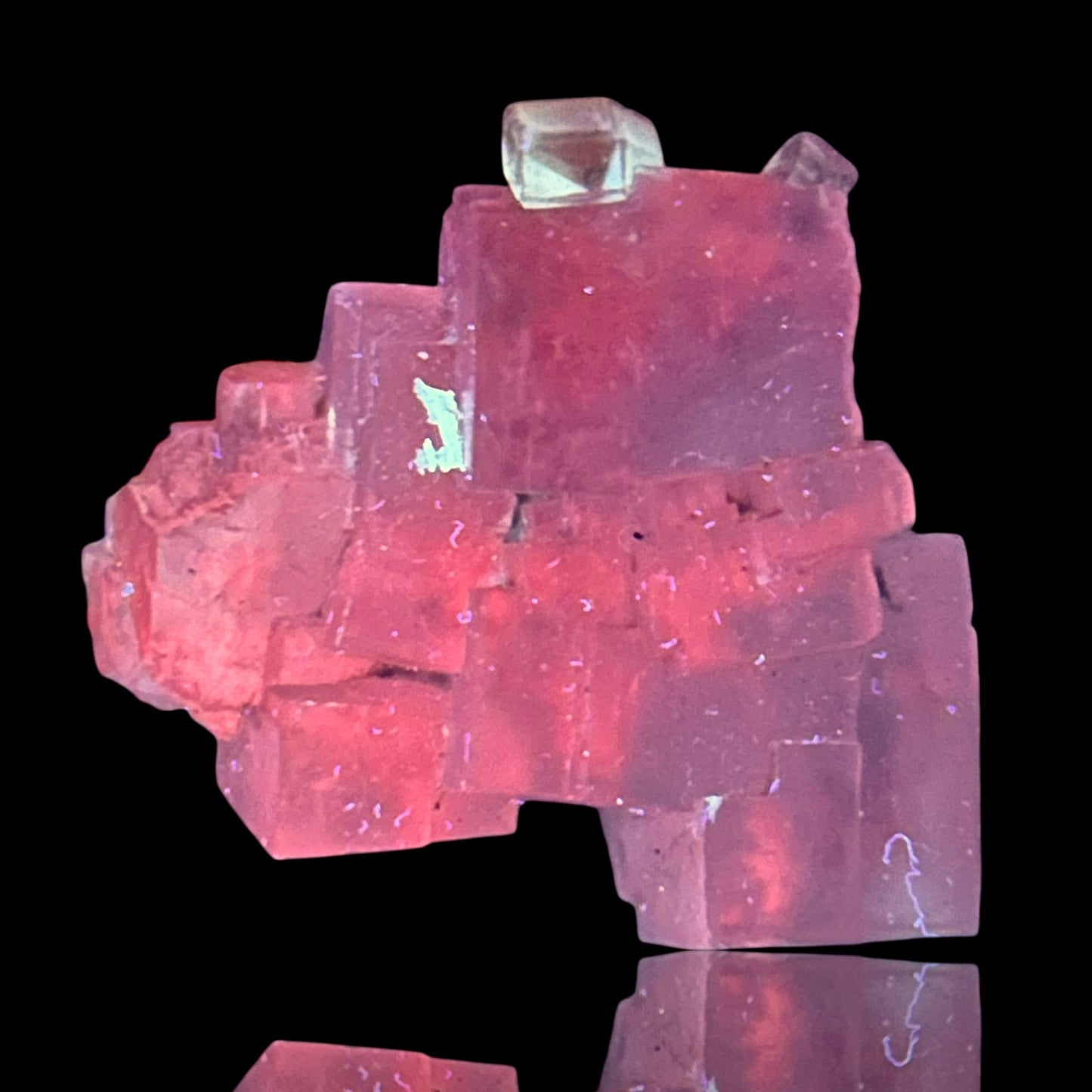 Halit/e & Gips/Gypsum - Bleicherode