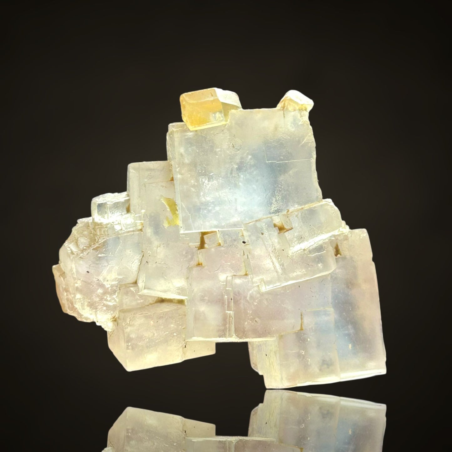 Halit/e & Gips/Gypsum - Bleicherode