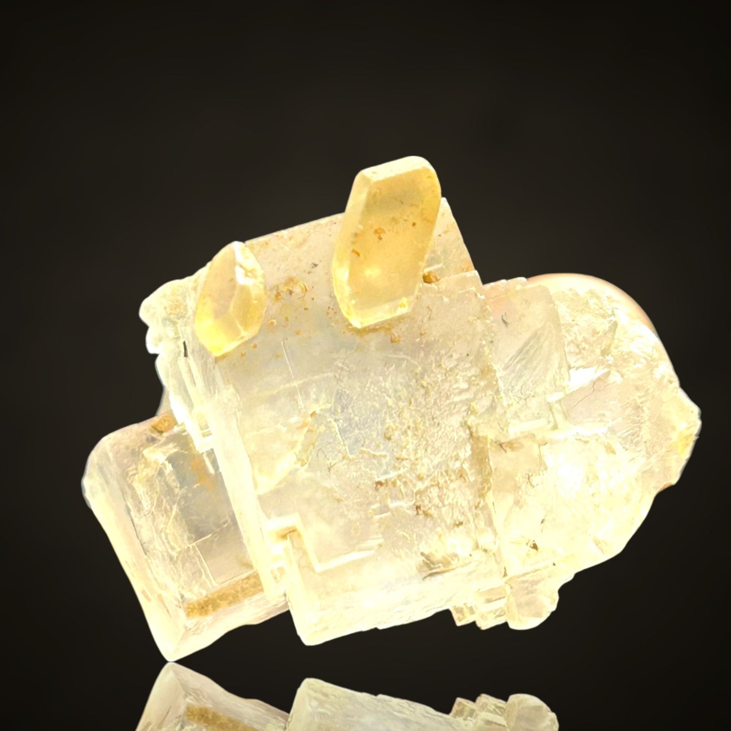 Halit/e & Gips/Gypsum - Bleicherode