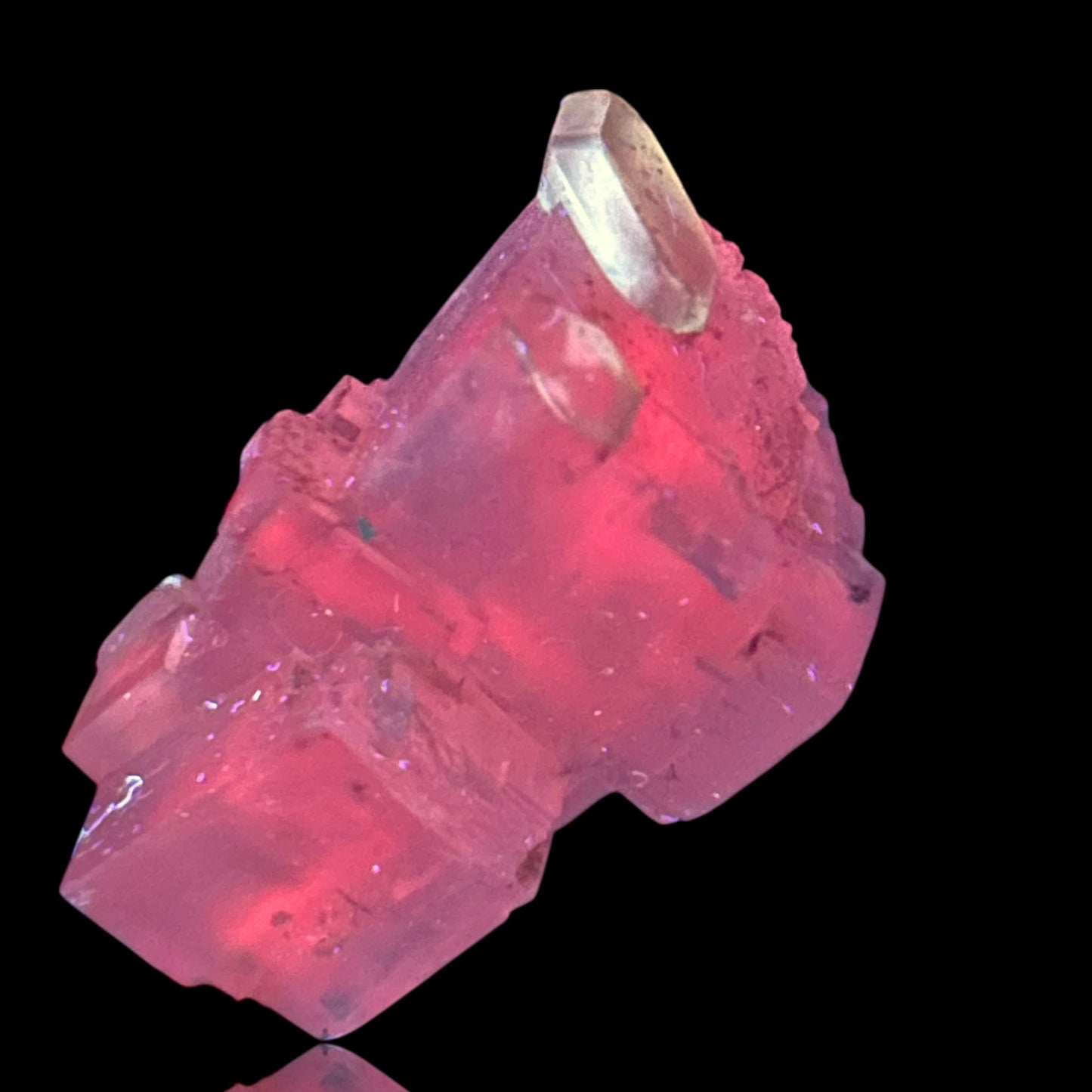 Halit/e & Gips/Gypsum - Bleicherode