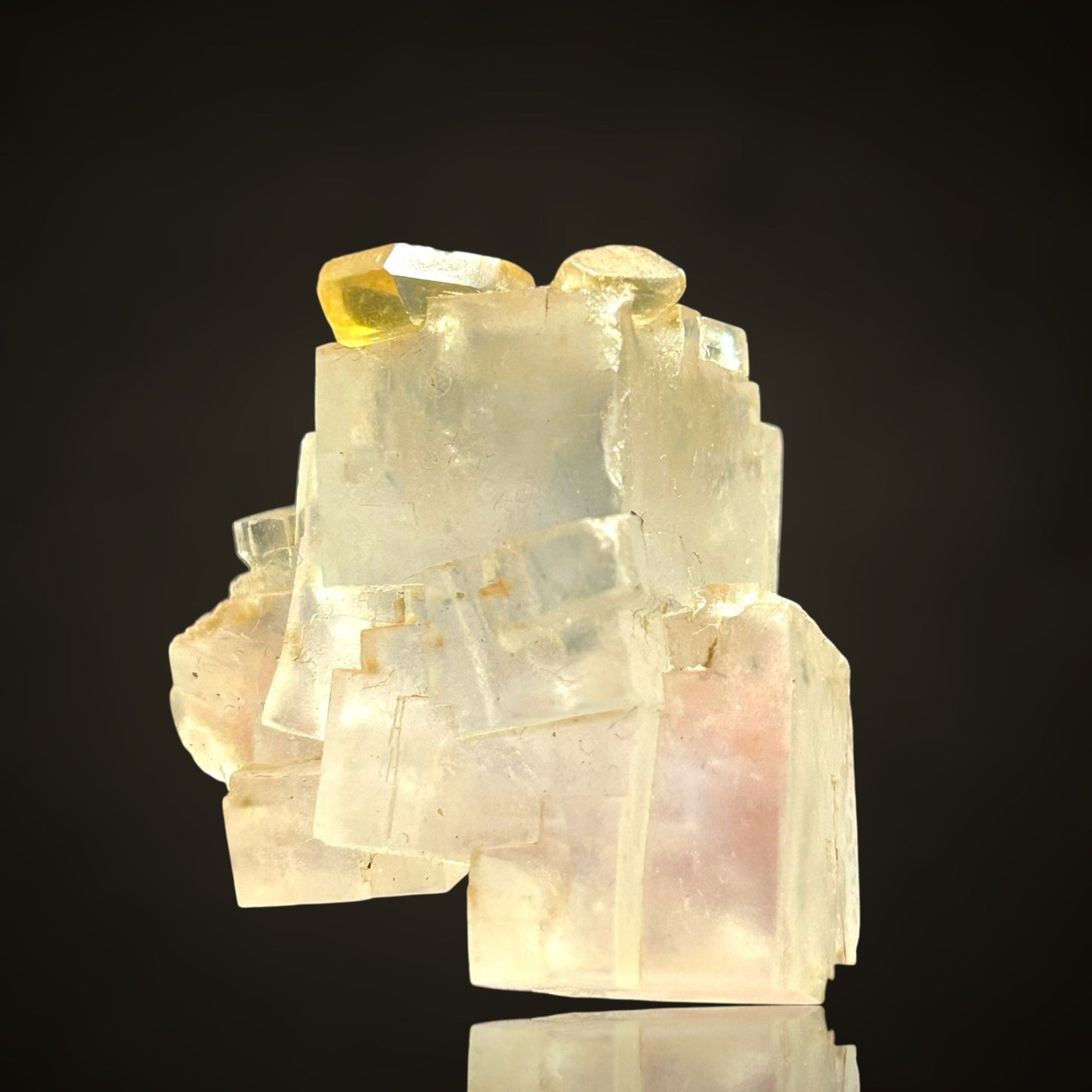 Halit/e & Gips/Gypsum - Bleicherode
