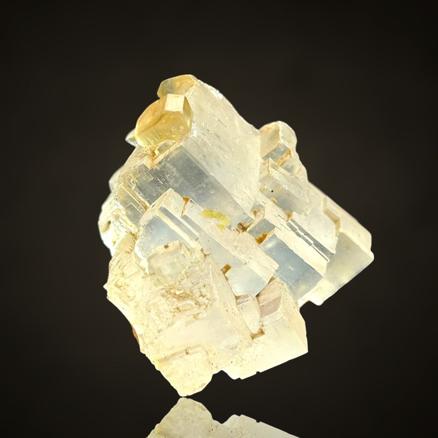 Halit/e & Gips/Gypsum - Bleicherode