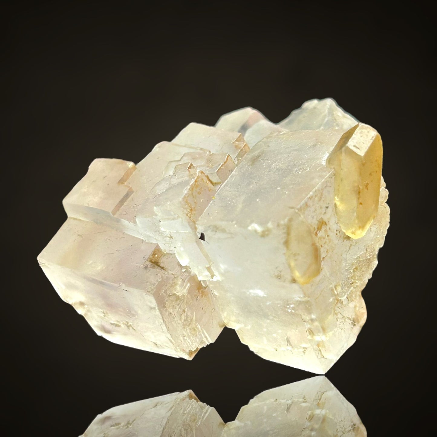 Halit/e & Gips/Gypsum - Bleicherode