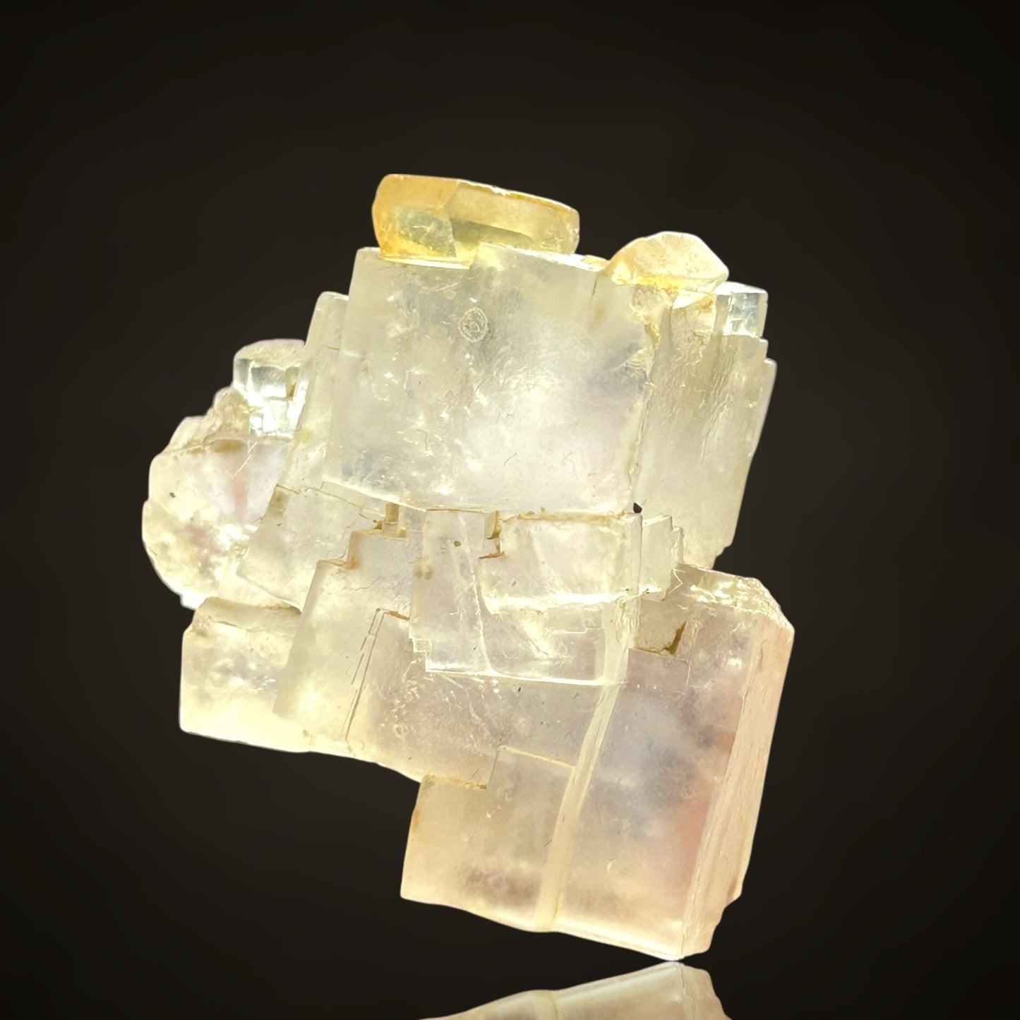 Halit/e & Gips/Gypsum - Bleicherode