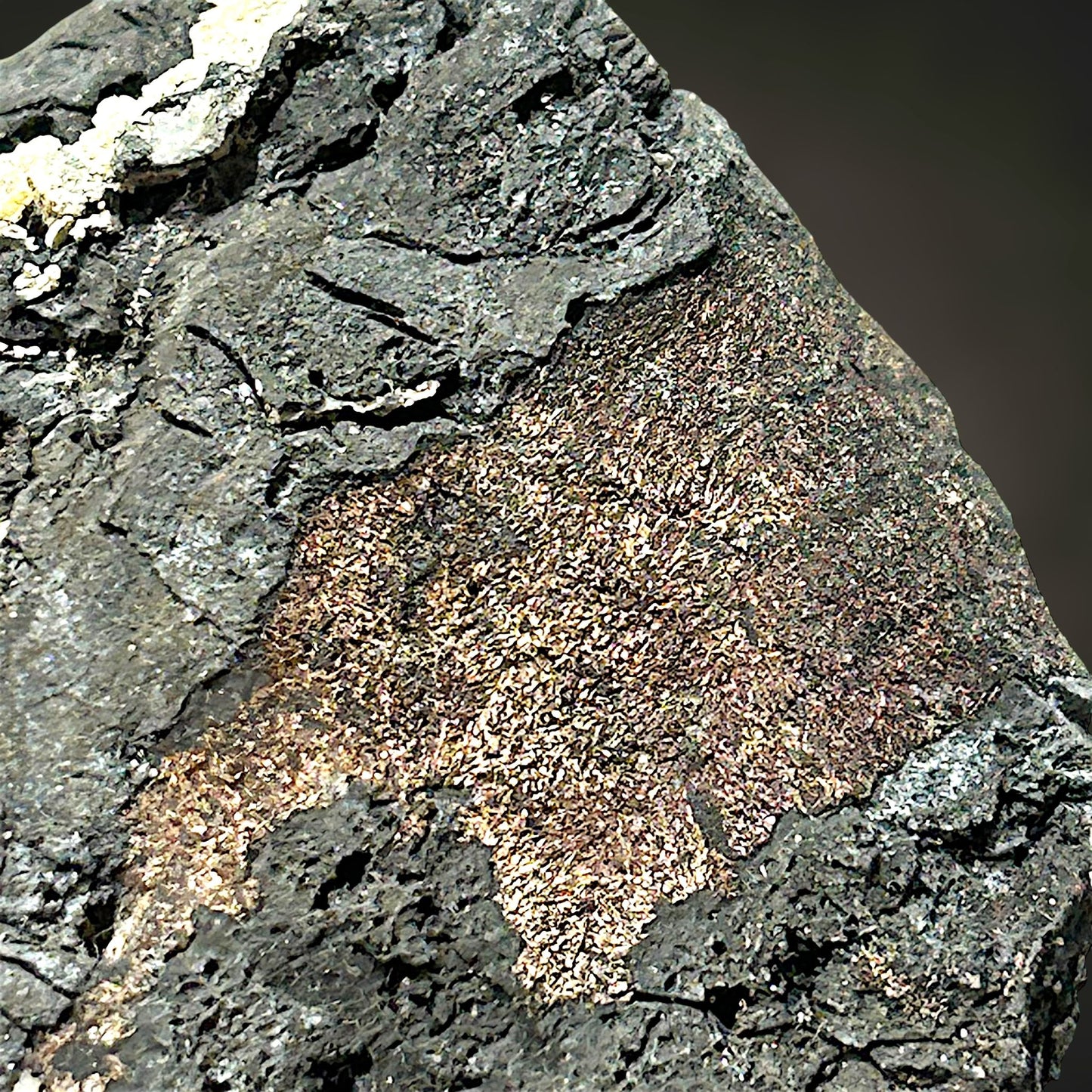 Gediegen Silber in gediegen Arsen - Erzgebirge