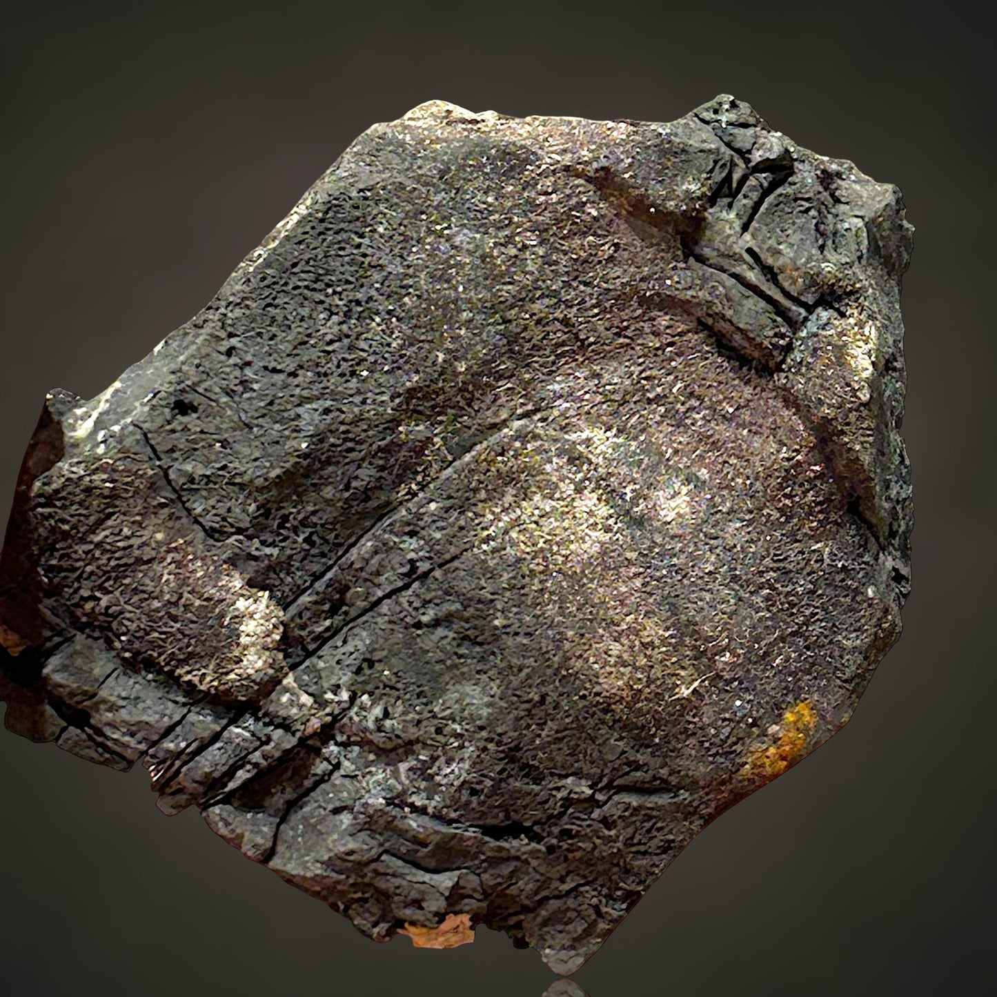 Gediegen Silber in gediegen Arsen - Erzgebirge