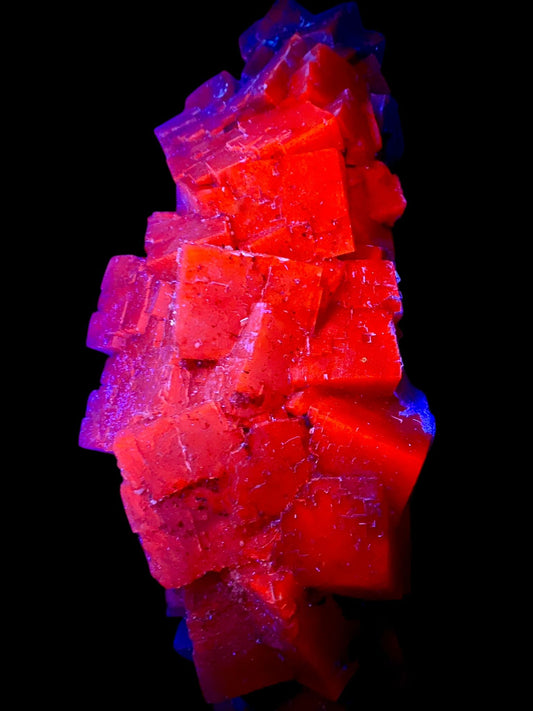 Halite - Bleicherode, Harz