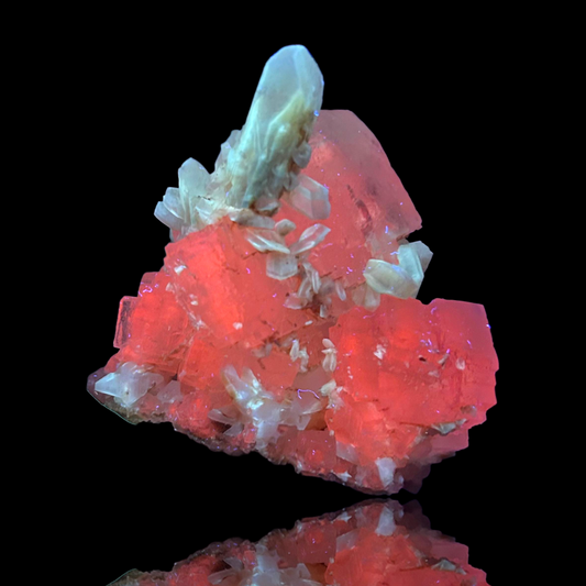 Halit & Gips - Bleicherode