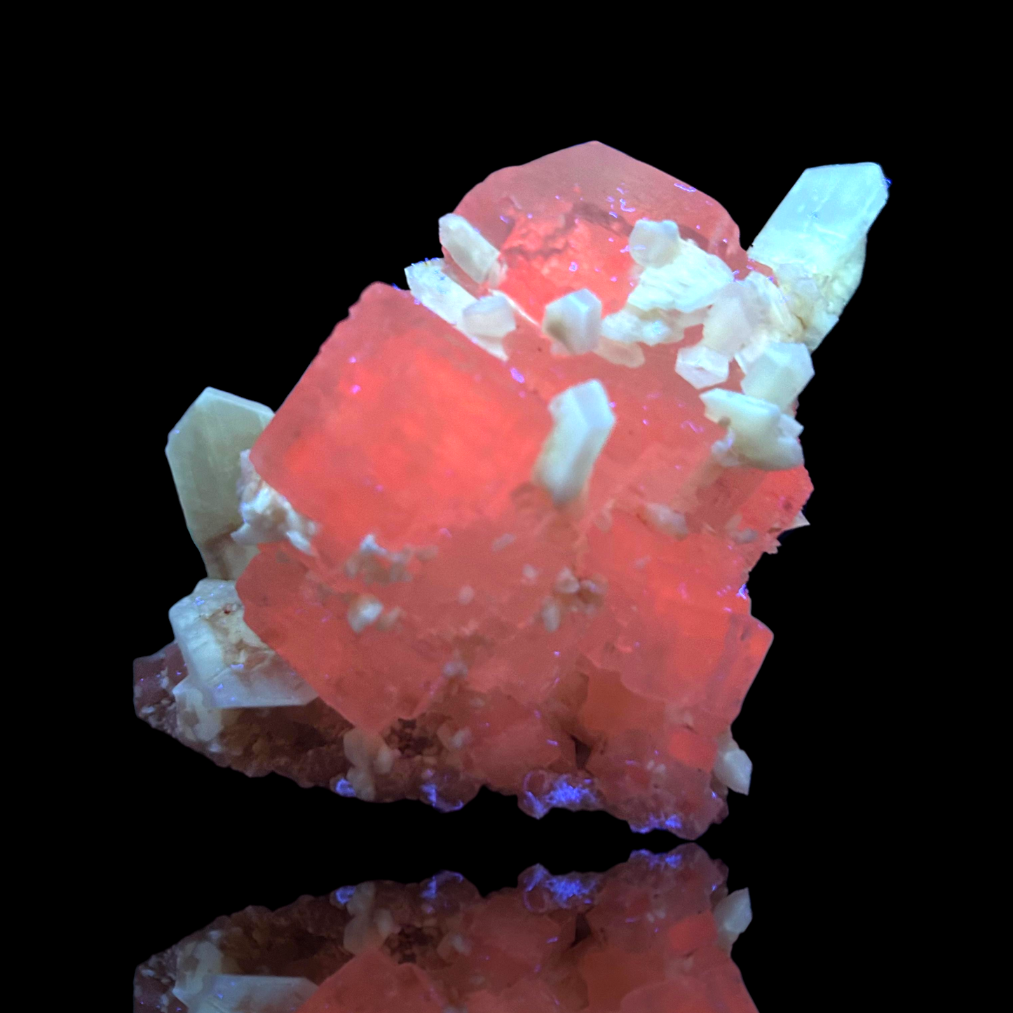 Halit & Gips - Bleicherode