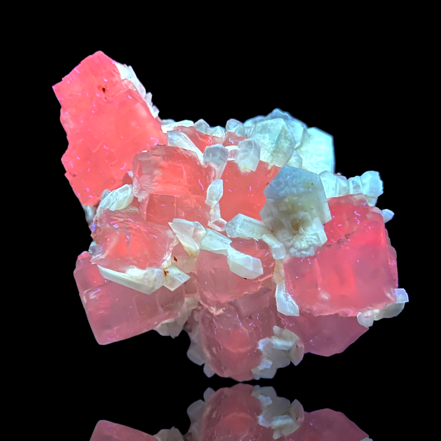 Halite & Gypsum - Bleicherode