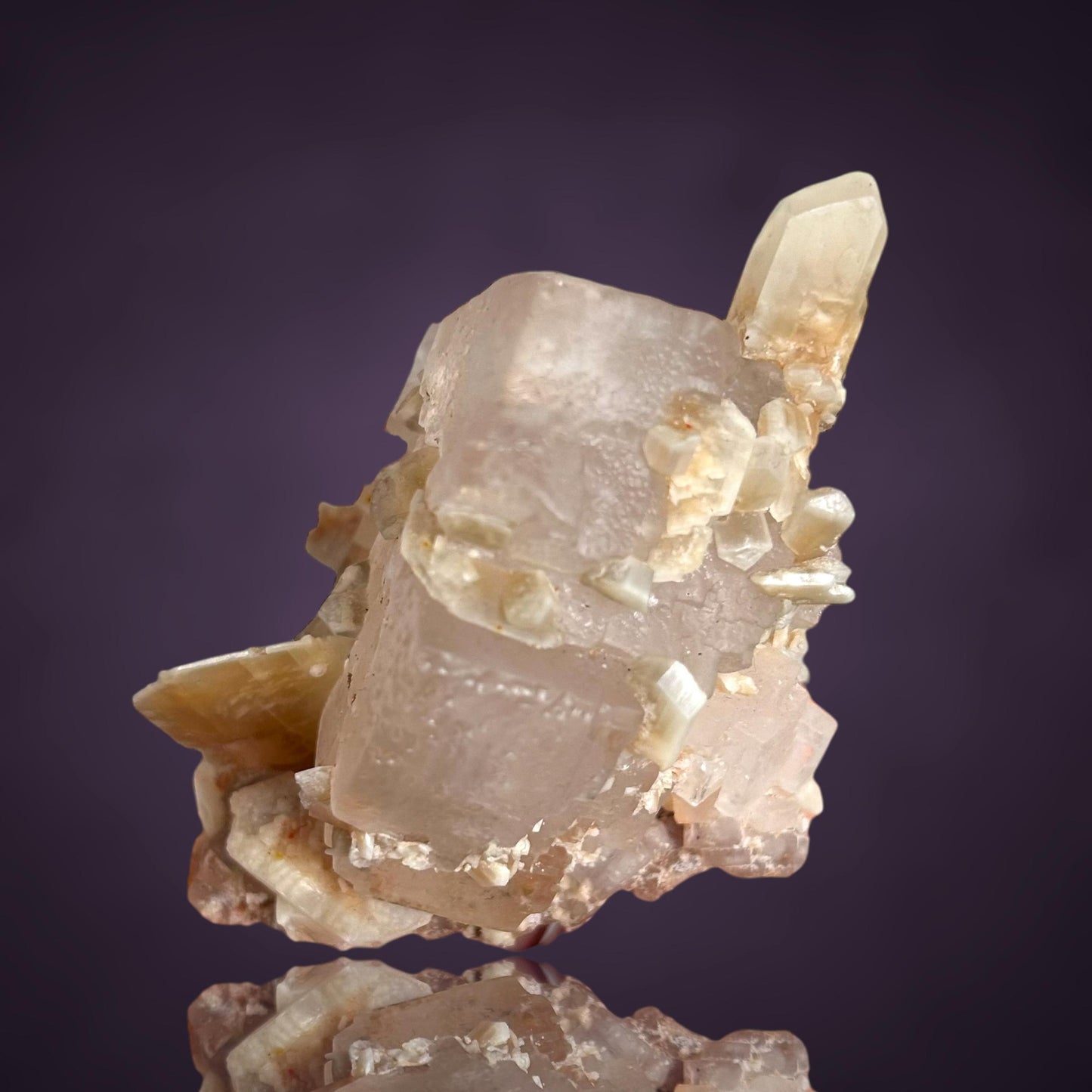 Halit & Gips - Bleicherode