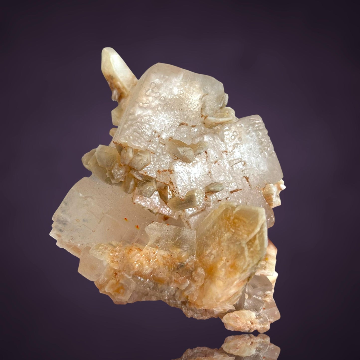 Halit & Gips - Bleicherode