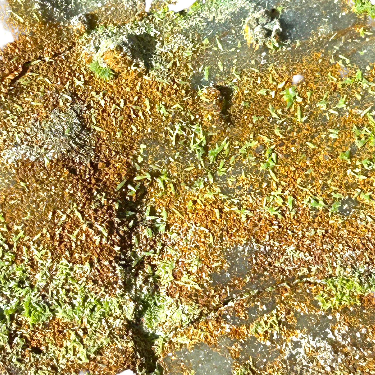 Pyromorphit - Longkamp, ​​Hunsrück, Deutschland